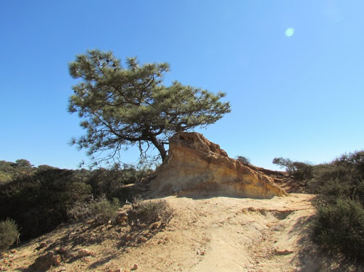 GliderporttoTorreyPinesStatePark-23-2016-01-11-08-59.jpg