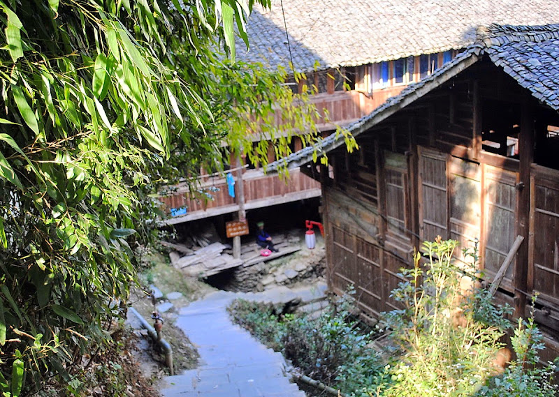 Гуанси. Рисовые террасы Драконьего хребта