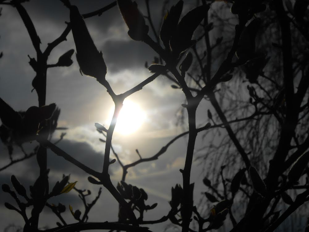 Kan je licht vastpakken?' en andere weetjes over licht