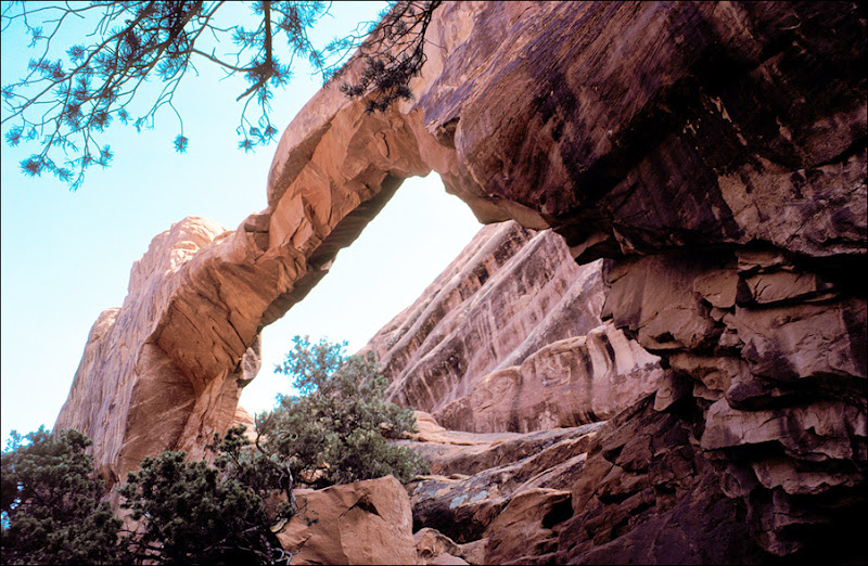 Wall Arch