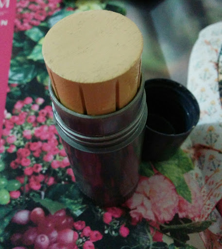Kanwal Ikram's Blog: Kryolan Tv Paint Stick-Review And Swatches