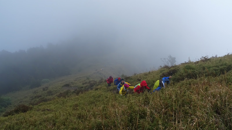 返回桃山