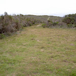 Grassy Clearing north of Bombi Headland (20036)