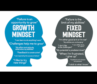 Carol Dweck brainology fixed and growth mindset