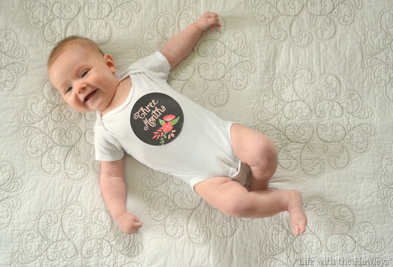Month 3-3 Month 3-3