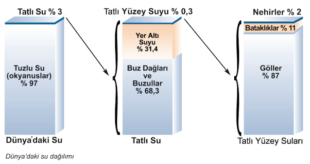 Su Kaynaklarının Dağılımı