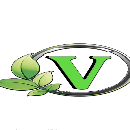 V-Nails Spa logo