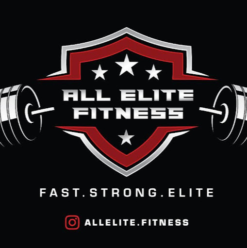All Elite Fitness logo