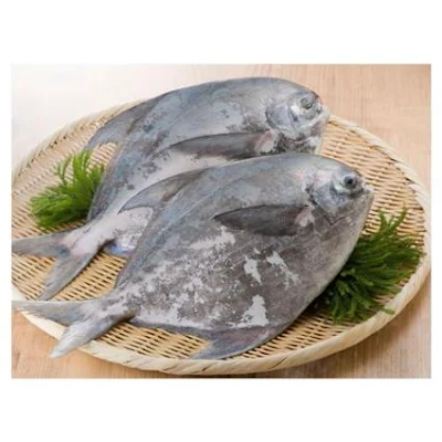 Fish - Chinese Pomfret, Large - 500 g