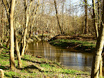 Rock Creek Park, the creek and bike path, near my house.