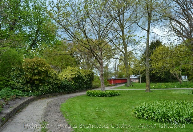 Glória Ishizaka - Hortus Botanicus Leiden - 45