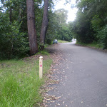 Great North Walk marker near Hornsby (6658)