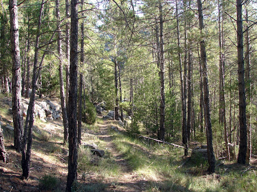 Senderismo: Cañón del río Alcalá - Navas Altas. PR-TE 26 GR-8