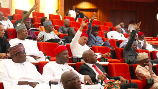 Senate begins probe of Customs