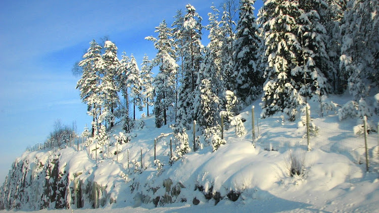 Karisto - puutarhakaupunki. Каристо - город-парк