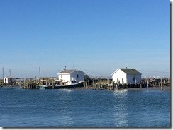 Tangier Island 2015-10-21 004