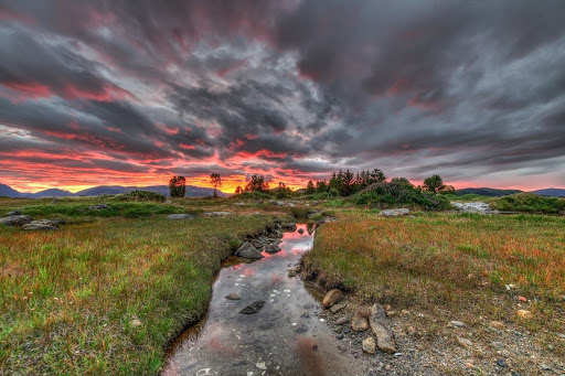 Living in a Painting. Photographer Benny Høynes in Norway