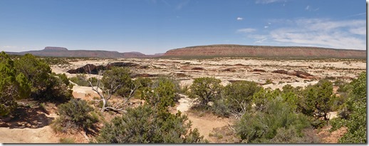 View of Natural Bridges National Monument