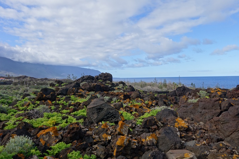 4 días en El Hierro (Canarias). Una isla vertiginosa y espectacular. 2ª parte. - De viaje por España (38)