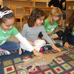 Occasionally, we bring the world to the children. Here, some reptiles came to visit in one of our elementary classrooms.