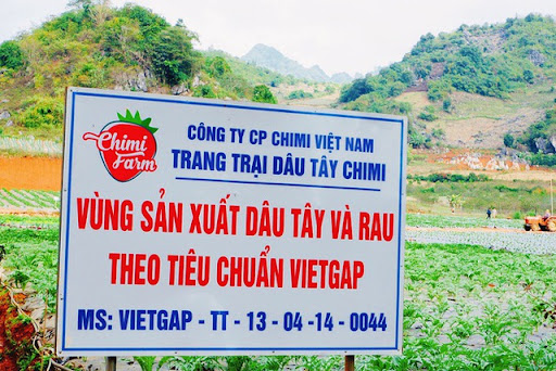 Chứng nhận VietGAP xịn có dễ đạt hay không? - Ảnh 1.