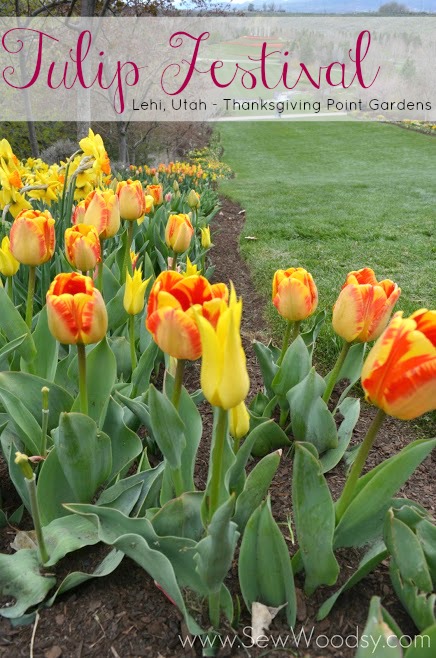 Tulip Festival, Lehi Utah - Thanksgiving Point Gardens via SewWoodsy.com #tulips #travel #photography