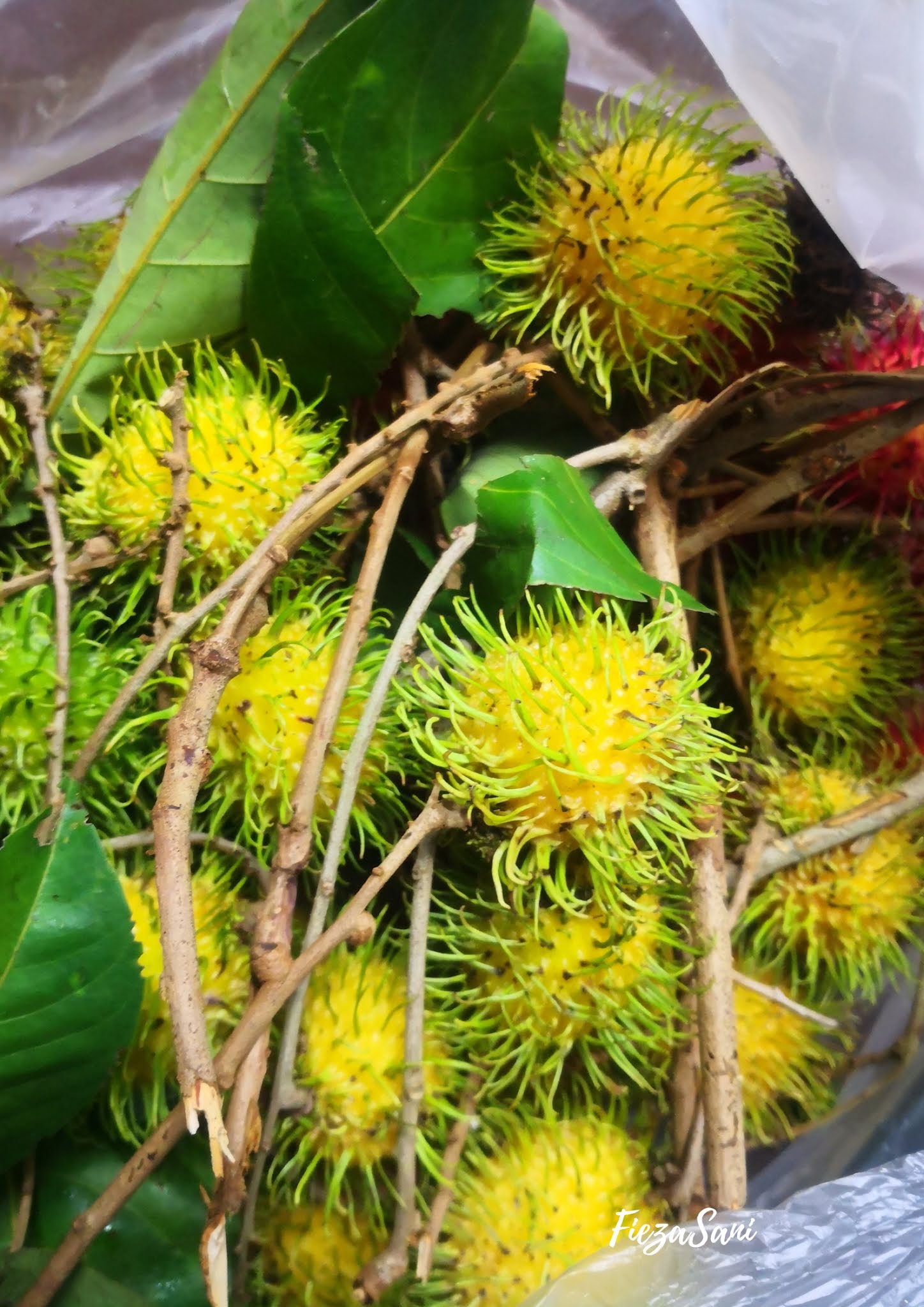 buah-buahan buah-buahan tempatan, rambutan