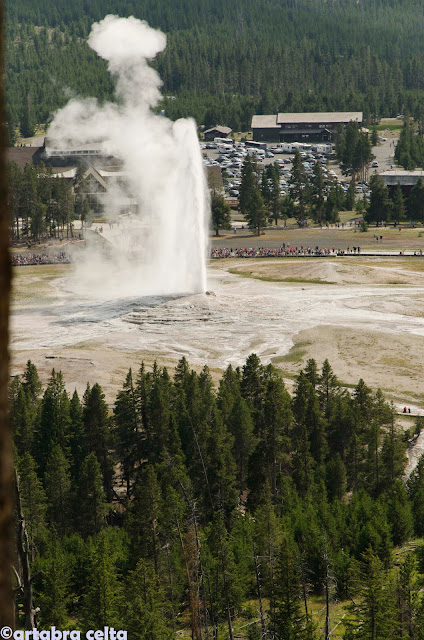 ZONA GEOTERMAL DE YELLOWSTONE N.P. (WYOMING, USA), Naturaleza-USA (17)