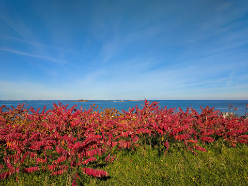 State Park «Fort Revere Park», reviews and photos, 60 Farina Rd, Hull, MA 02045, USA