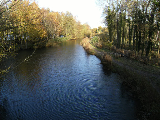 DSCF2652 Basingstoke Canal from Blacksmith's Bridge