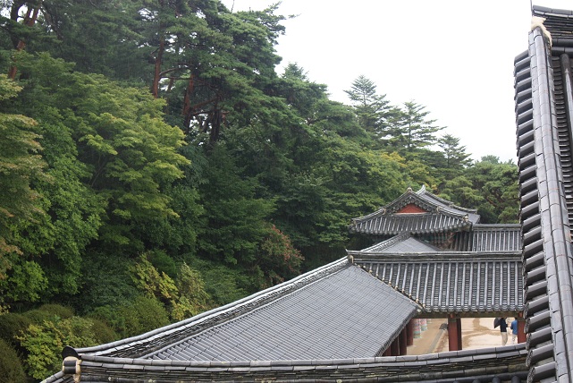 Días 6, 7 y 8 - Gyeongju pasado por agua - Korea - Agosto de 2012 (12)