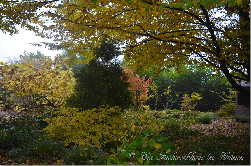 Herbstgarten Herbstgarten