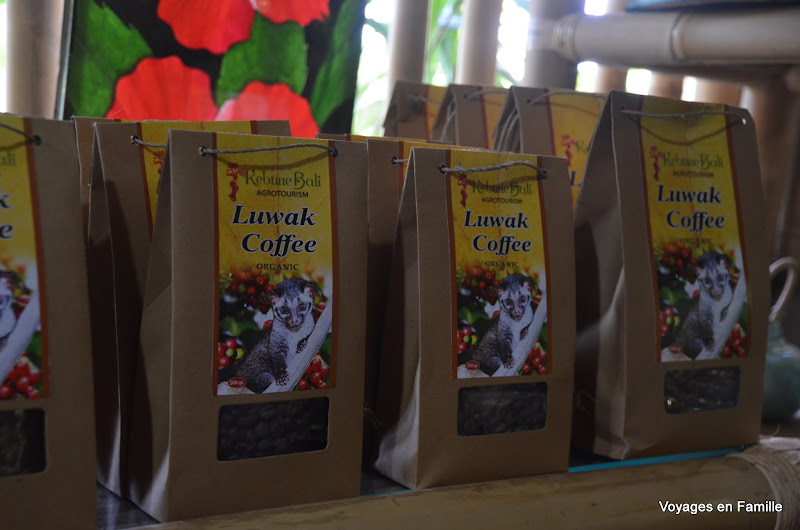 luwak coffee- kebune bali