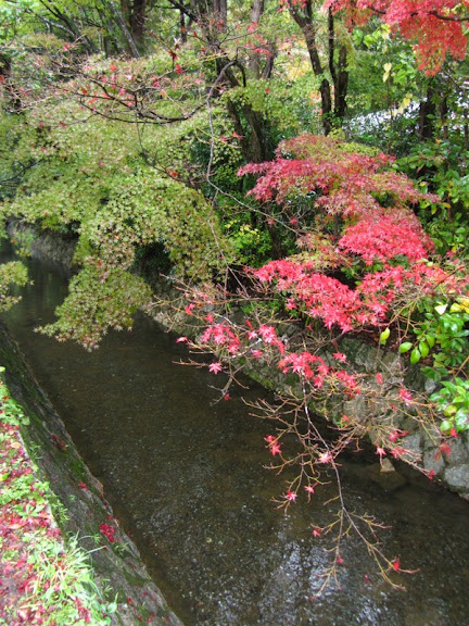 Осенняя Япония, или По следам цветных листьев (2-16 ноября 2014)