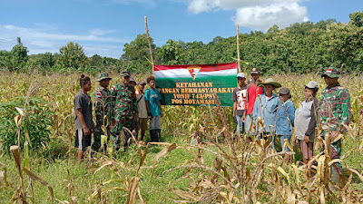 SATGAS PAMTAS RI-RDTL YONIF 743/PSY PANEN JAGUNG BERSAMA MASYARAKAT DI PERBATASAN*