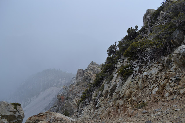 looking along a cliff