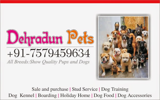 pet shop dog breeder dog hostel, 76/a, Ambala-Dehradun-Haridwar Rd, Old Nehru Colony, Dharampur, Dehradun, Uttarakhand 248001, India, Pet_Shop, state UK