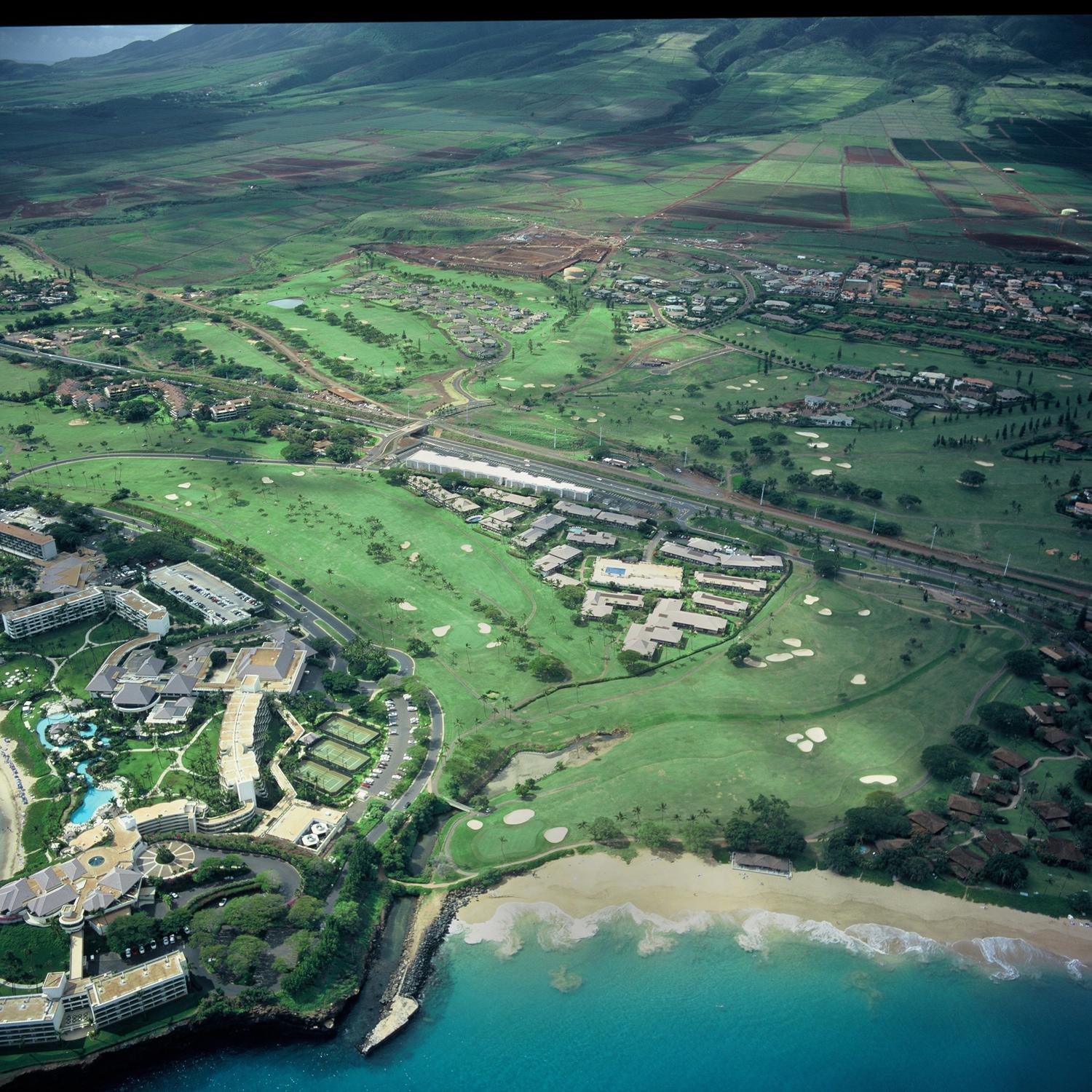 maui band wedding