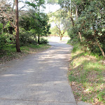 NPWS Workshop Driveway (252611)