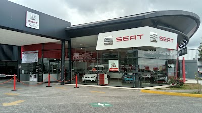car-dealer