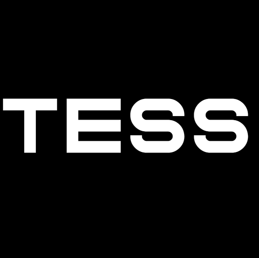 T.ESS GmbH