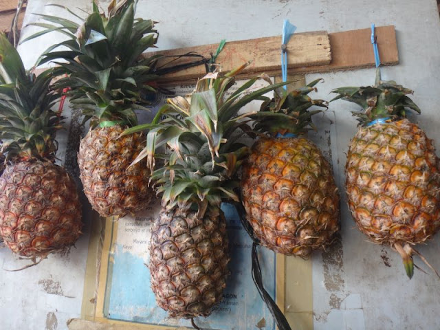 Филиппины - релаксный остров Палаван и Манила