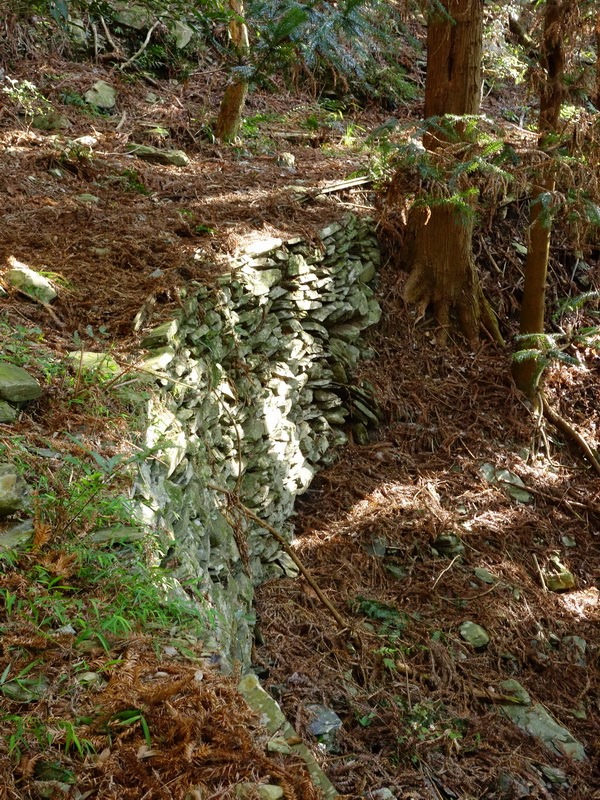 2014_0101-0105 萬山神石、萬山岩雕順訪萬頭蘭山_0306