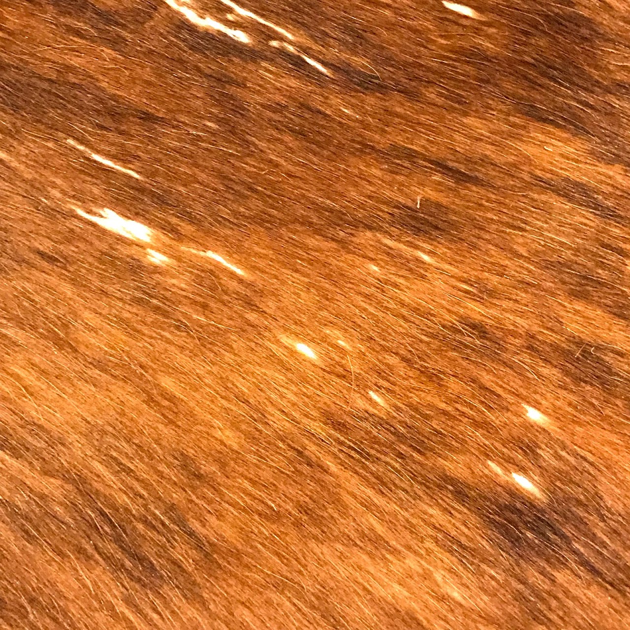 Cowhide Area Rug