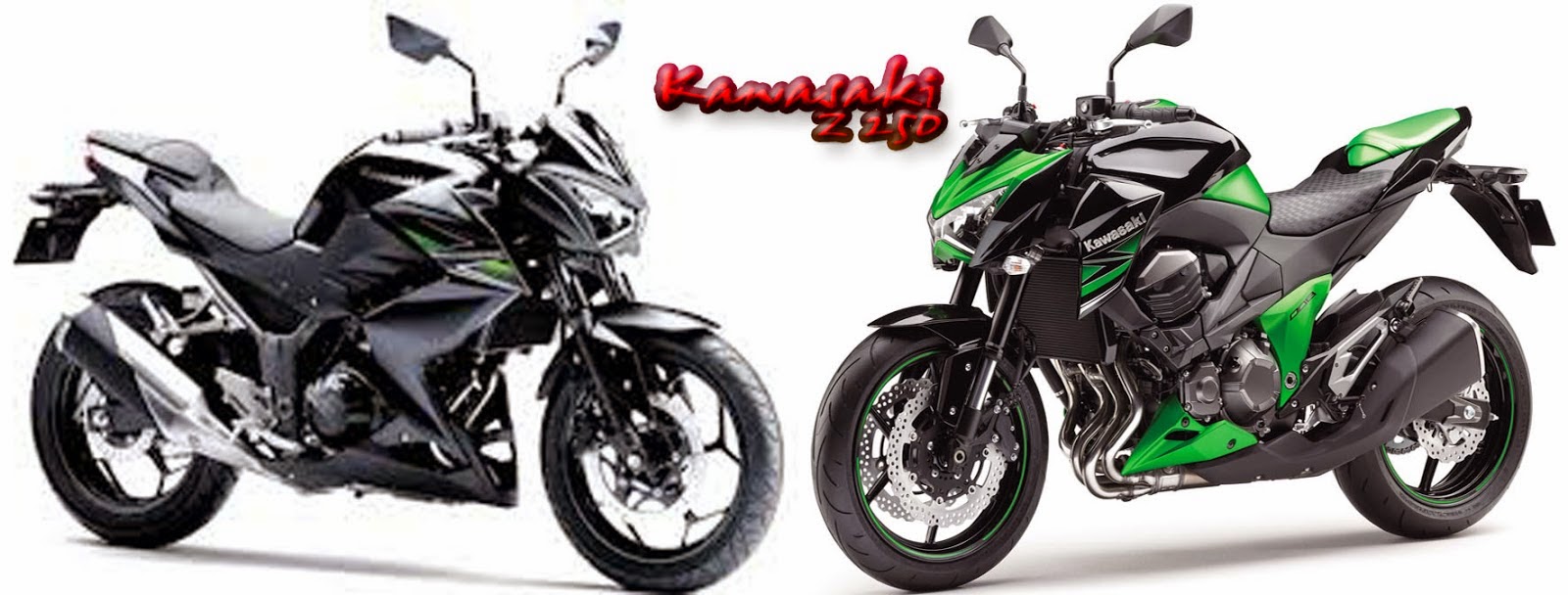 Kawasaki Z250 Full Modifikasi