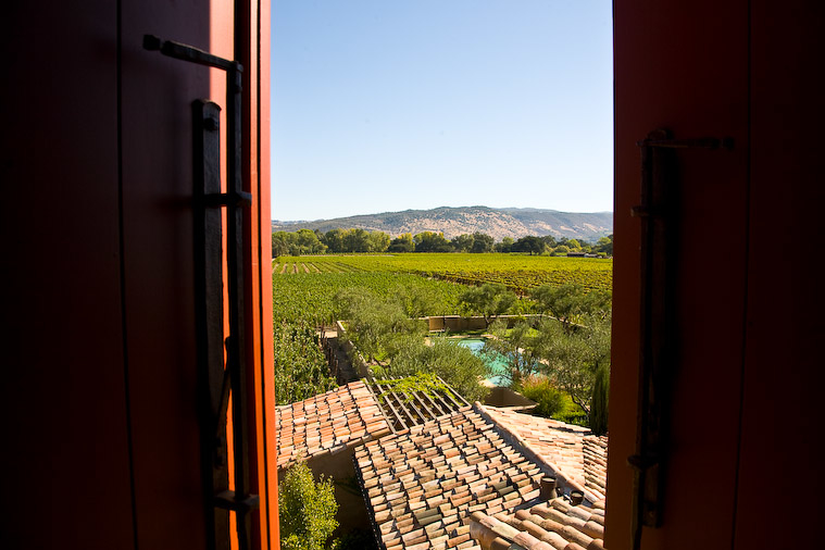 Main image of Bello Family Vineyards