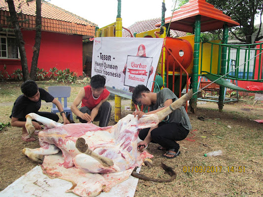 Qurban untuk Yatim Indonesia  Mizan Amanah