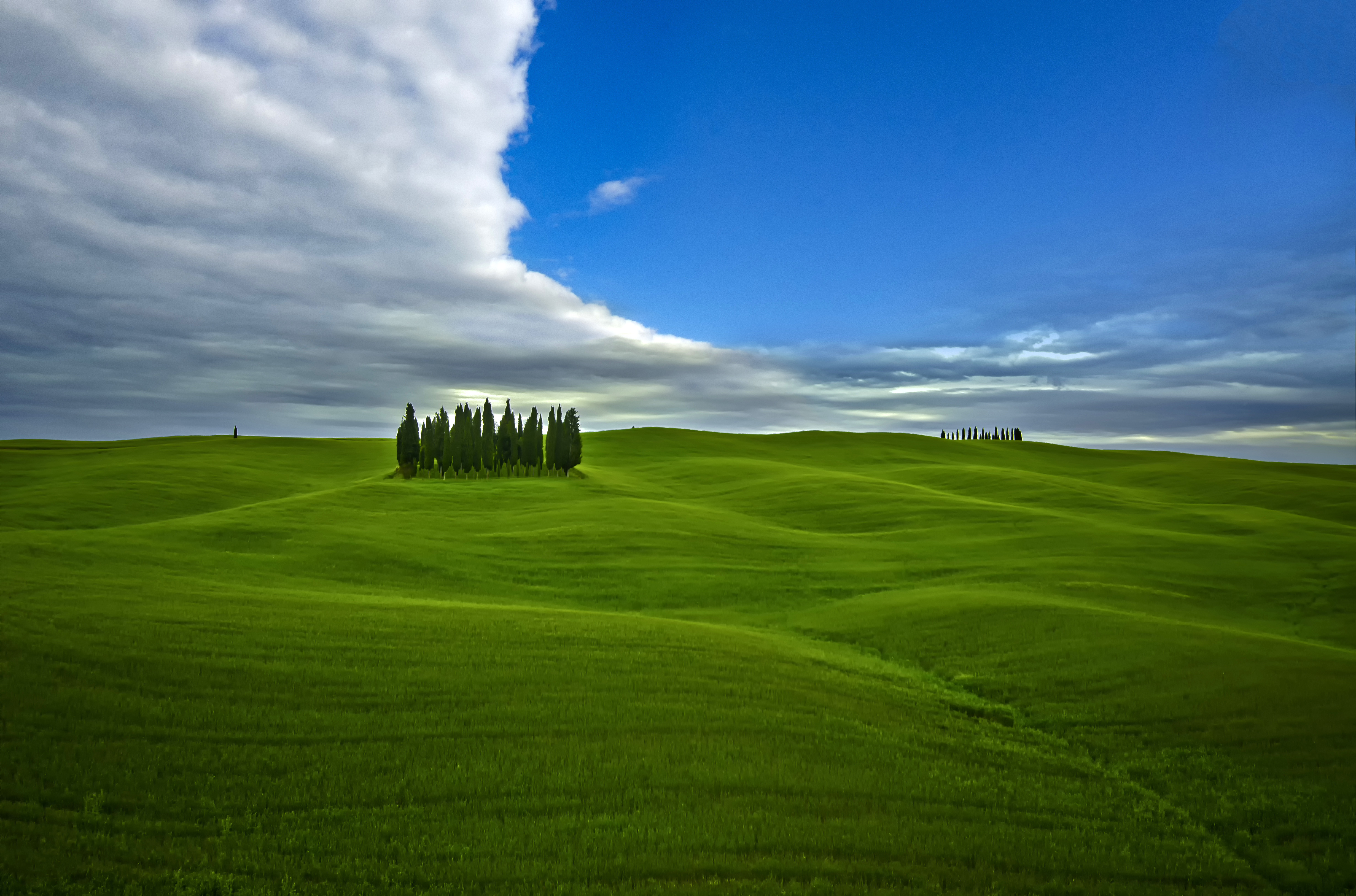 Sembra quasi un mare, l'erba... di tonino_de_rubeis