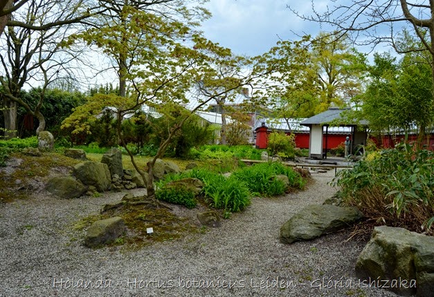 Glória Ishizaka - Hortus Botanicus Leiden - 48