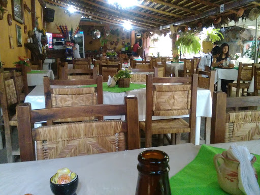 Los Magueyes, Av Miguel Alemán 87, Centro, Ejido del Centro, Gro., México, Restaurante alemán | GRO